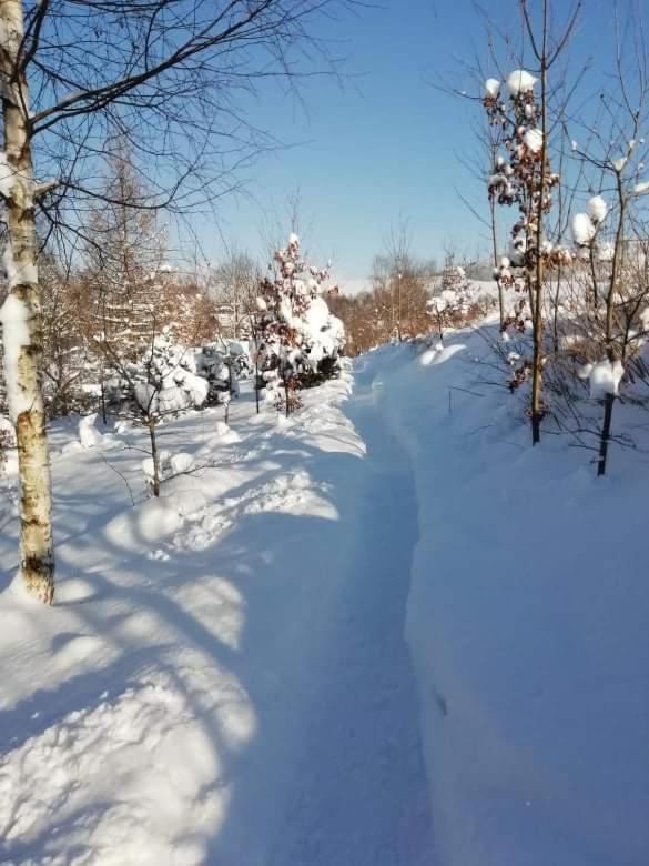 Aparthotel Stará Škola Hedeč Králíky Exteriér fotografie