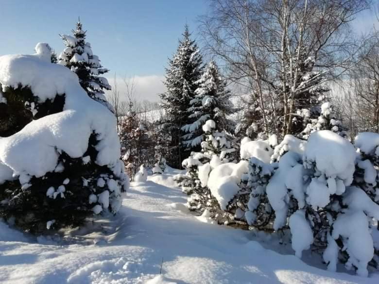 Aparthotel Stará Škola Hedeč Králíky Exteriér fotografie